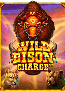 วิธีเล่นและทาง เข้า เว็บ joker สำหรับมือใหม่หัดปั่นสล็อต